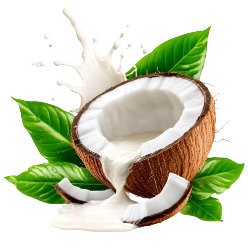 SANTAN GOLD - Pengeluar & Pembekal Santan Original, Santan Pati, Santan Pekat, Santan Asli, Santan Segar Lembah Klang, (Klang Valley) Selangor, Kuala Lumpur. Supply Coconut Milk Fresh Supplier, Distributor